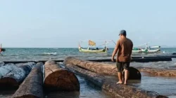 Ratusan kayu ulin terdampar di Pantai Bicabbi Dungkek Sumenep