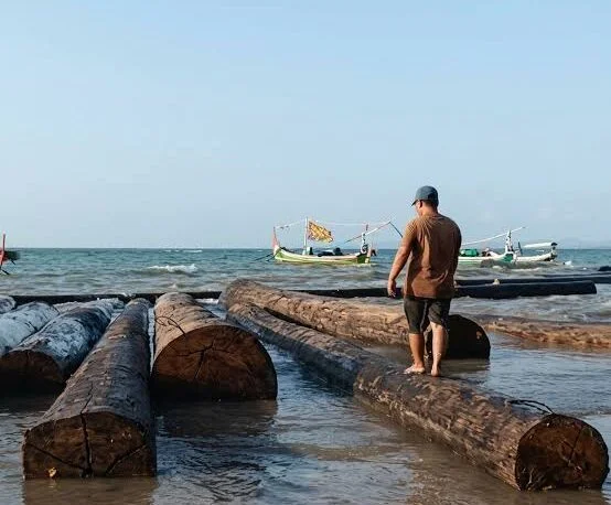Ratusan kayu ulin terdampar di Pantai Bicabbi Dungkek Sumenep