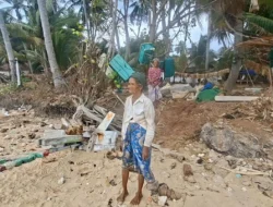 Usaha Sapu Serabut Kelapa Atmina Lenyap Dihantam Ratusan Gelondongan Kayu di Pesisir Sumenep