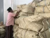 36.836 Ton Tembakau Petani Terserap di Pamekasan, Harga Tertinggi Capai Rp72.000 per Kg