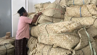 Petani menjual tembakau di Gudang Bawang Mas Pamekasan