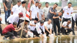 Penebaran 4,2 juta benur udang vaname untuk pemulihan tambak pascabanjir di Aceh Timur
