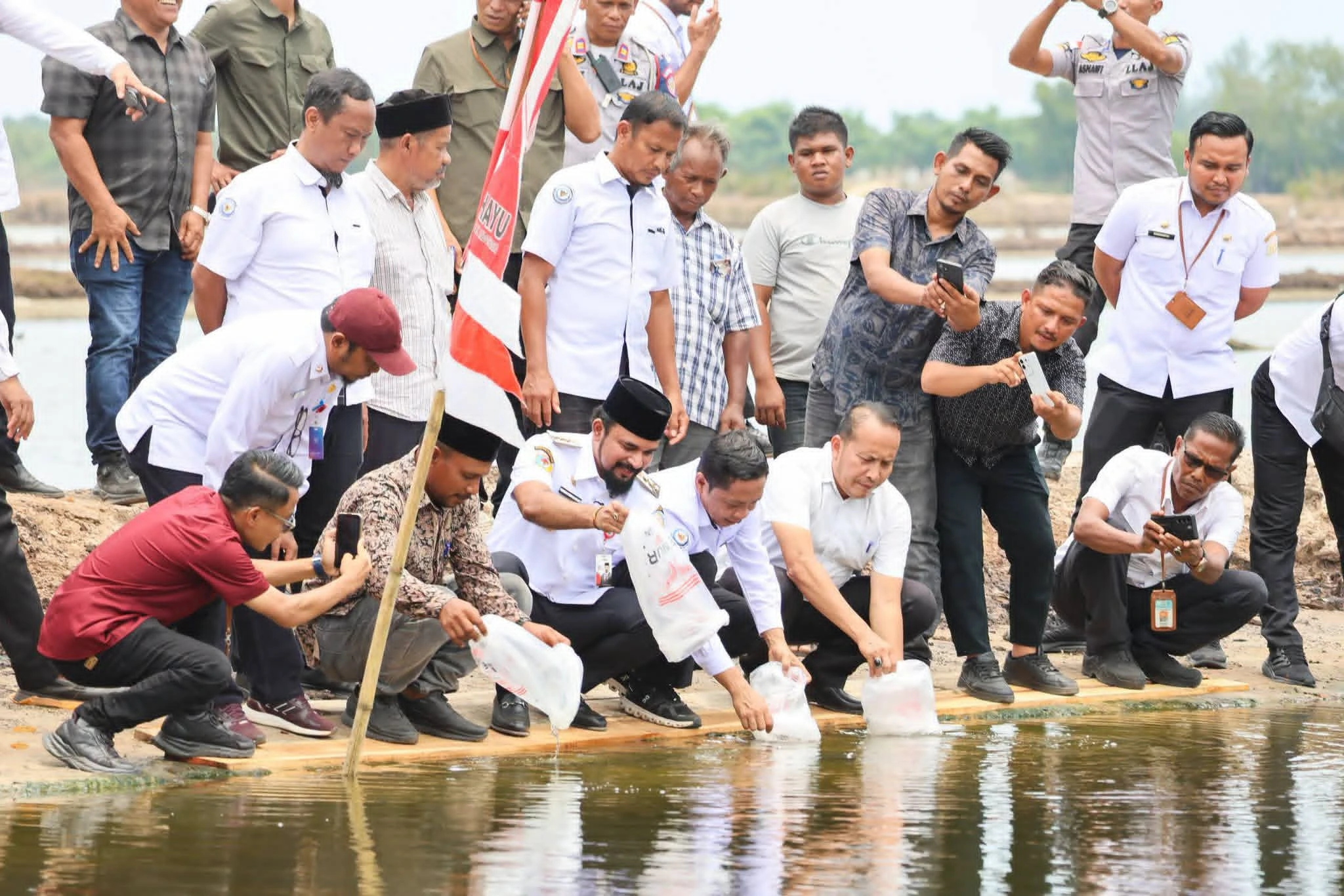 Penebaran 4,2 juta benur udang vaname untuk pemulihan tambak pascabanjir di Aceh Timur