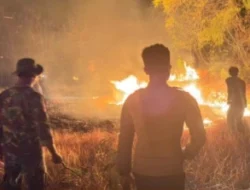 Kebakaran Lahan Kosong di Raas Diduga Dipicu Pembakaran Sampah