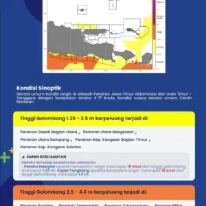 BMKG Peringatkan Gelombang Laut Selatan Jatim Capai 3,1 Meter