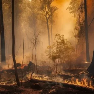 Kemarau Mencapai Puncak, BPBD Sumenep Perkuat Distribusi Air dan Penanganan Karhutla
