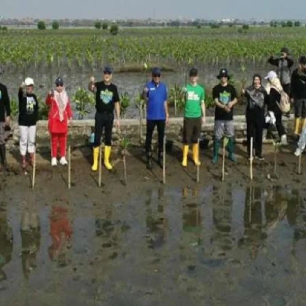 Penanaman mangrove di Batang oleh BPI dan DLHK Jawa Tengah dalam program Mageri Segoro