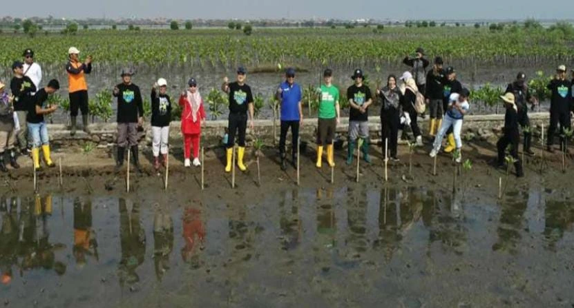 Penanaman mangrove di Batang oleh BPI dan DLHK Jawa Tengah dalam program Mageri Segoro