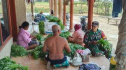 Babinsa Saronggi Dampingi Petani Kangkung, Dorong Ketahanan Pangan 4 Babinsa Saronggi dampingi petani kangkung di Desa Muangan Sumenep