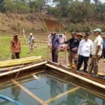 Sawah Sumedang Terancam Kering, Warga Desak Perlindungan Sumber Air