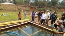 Sawah Sumedang Terancam Kering, Warga Desak Perlindungan Sumber Air 3 Penampungan sumber air yang dikeluhkan warga di Sumedang karena debit air untuk sawah berkurang