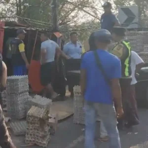 Mobil Bawa 2,2 Ton Telur Terguling di Sampang, Kerugian Capai Rp33 Juta