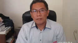 Produksi Padi Cianjur Capai 645 Ribu Ton, Ancaman El Niño Jadi Perhatian 4 Produksi padi Cianjur dan upaya menjaga lahan pertanian dari ancaman kekeringan