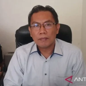 Produksi Padi Cianjur Capai 645 Ribu Ton, Ancaman El Niño Jadi Perhatian