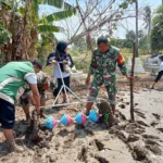 Babinsa Saronggi Ajak Petani Tingkatkan Produksi Padi