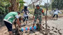Babinsa Saronggi Ajak Petani Tingkatkan Produksi Padi