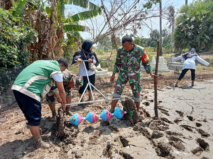 Babinsa Koramil 0827/06 Saronggi Moh Jakfar mendampingi petani dalam percepatan tanam padi dengan metode pertanian modern di Desa Kambingan