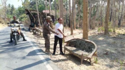 Bayi Ditemukan di Pinggir Jalan Sumenep, Polisi Selidiki 3 Bayi laki-laki ditemukan di pinggir jalan Dusun Drusah Desa Prenduan Sumenep