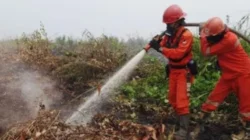 Kabut Asap Banda Aceh Memburuk, Sekolah Beralih ke Daring 3 Kementerian Kehutanan melakukan operasi darat dan udara untuk mengendalikan kebakaran hutan dan lahan yang dapat memicu kabut asap