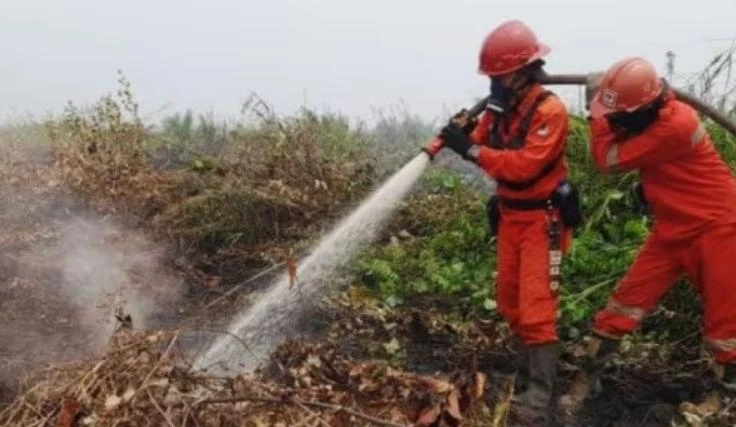 Kementerian Kehutanan melakukan operasi darat dan udara untuk mengendalikan kebakaran hutan dan lahan yang dapat memicu kabut asap
