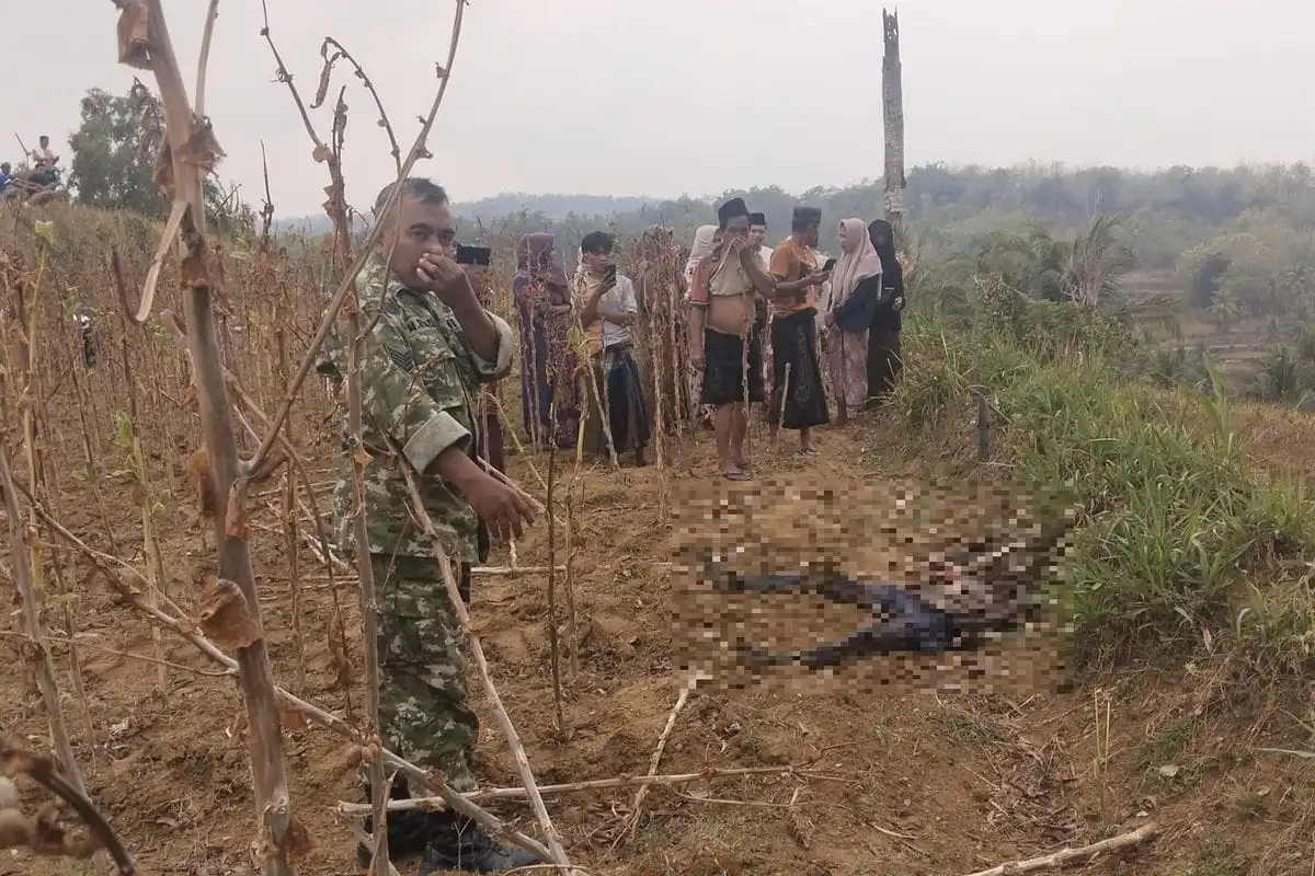 Lokasi penemuan mayat laki-laki di semak-semak Desa Plakpak, Pegantenan, Kabupaten Pamekasan