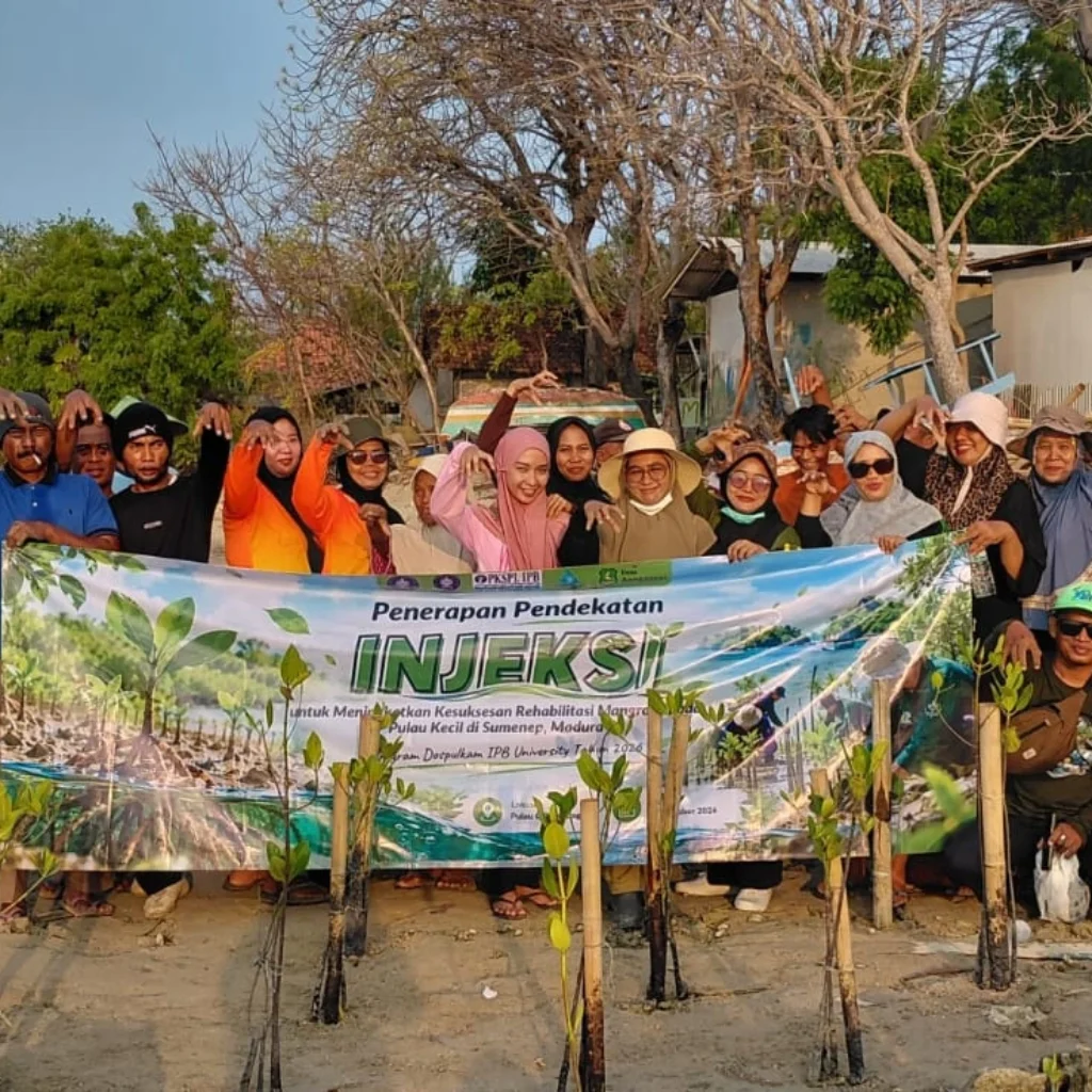 Rehabilitasi mangrove Sumenep melalui penanaman bibit mangrove di Desa Aenganyar bersama IPB University