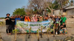 Rehabilitasi mangrove Sumenep melalui penanaman bibit mangrove di Desa Aenganyar bersama IPB University