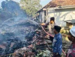 Kebakaran di Guluk-Guluk Sumenep Hanguskan Tiga Rumah dan Kandang Sapi, Kerugian Capai Rp150 Juta
